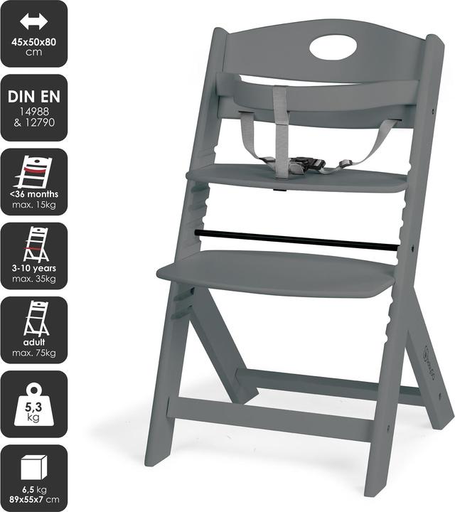 Actual product image BabyGo Family Pro grey (Highchair)
