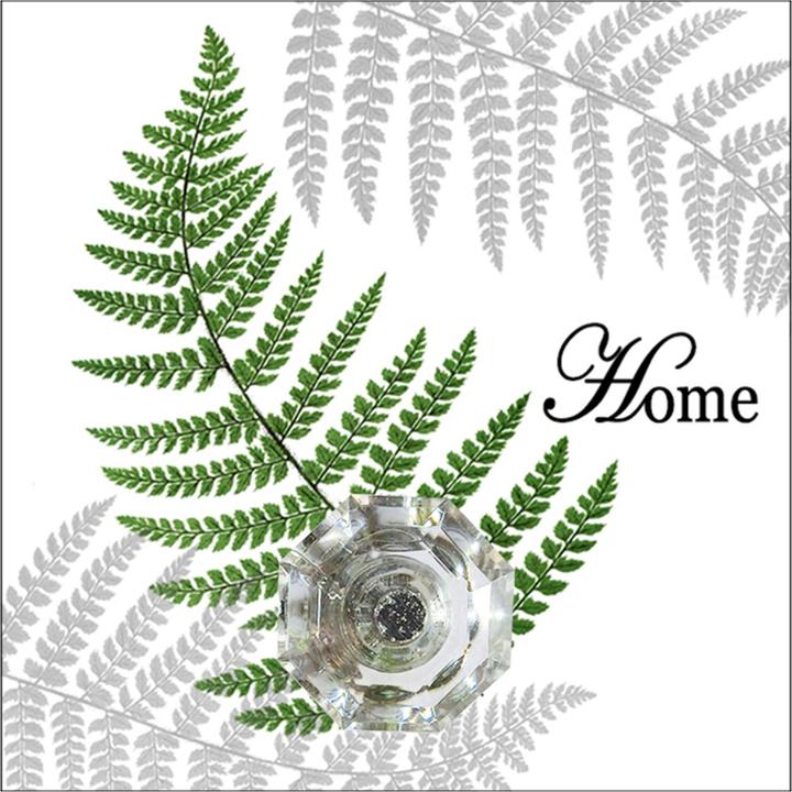 Produktbild HTI-Line Wandhaken 4er Set