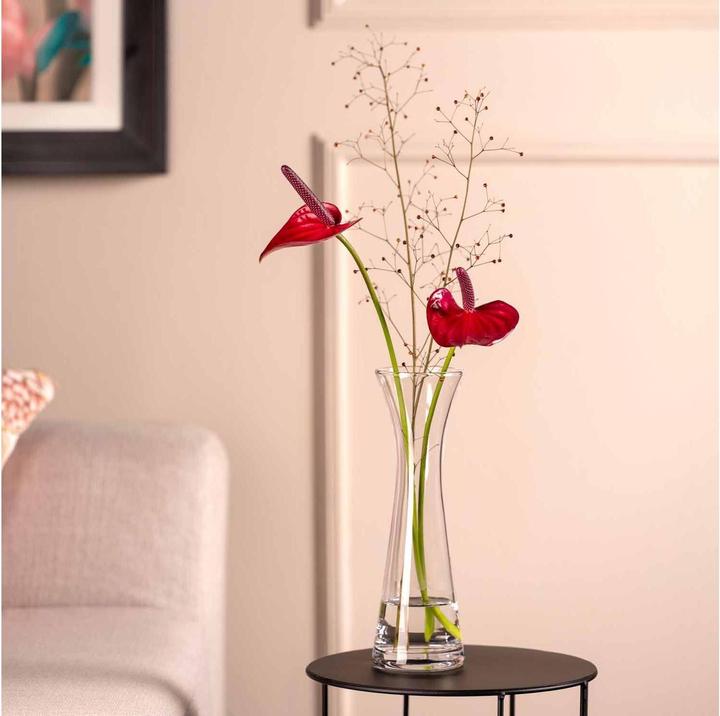 Actual product image Leonardo Vase Gia 26 cm, Transparent (1x)