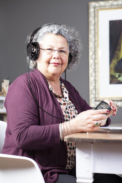 Image du produit Fysic FH-15 (Filaire)