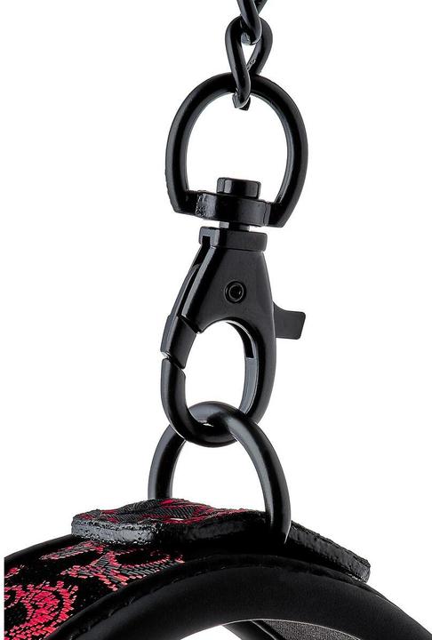 Image du produit Blaze Collier et laisse de luxe