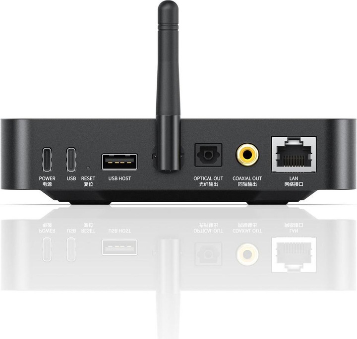 Actual product image FiiO SR11 (Network Audio Player)