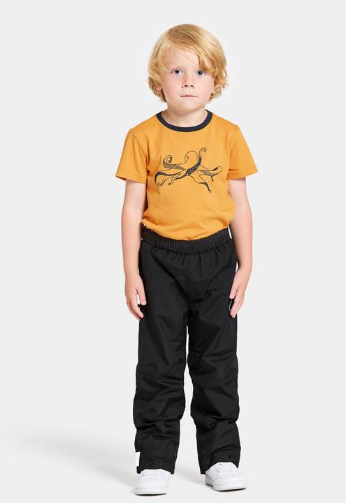 Actual product image Didriksons Kid's Avan Pants (110)