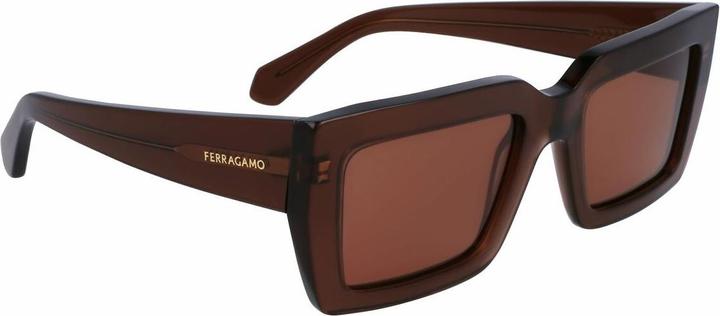 Actual product image Salvatore Ferragamo Ladies' Sunglasses SF1108S-5421232 Ã¸ 54 mm