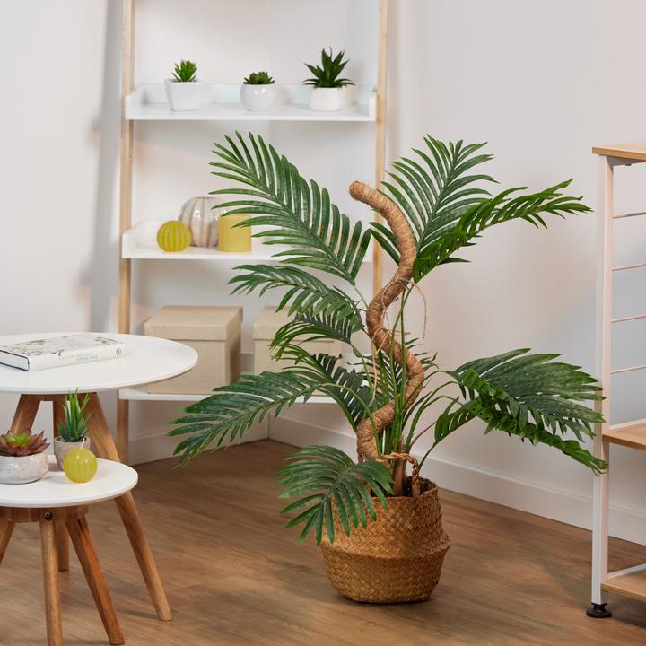 Immagine prodotto Relaxdays 5x bastoncini di cocco (3 cm, 3 cm)