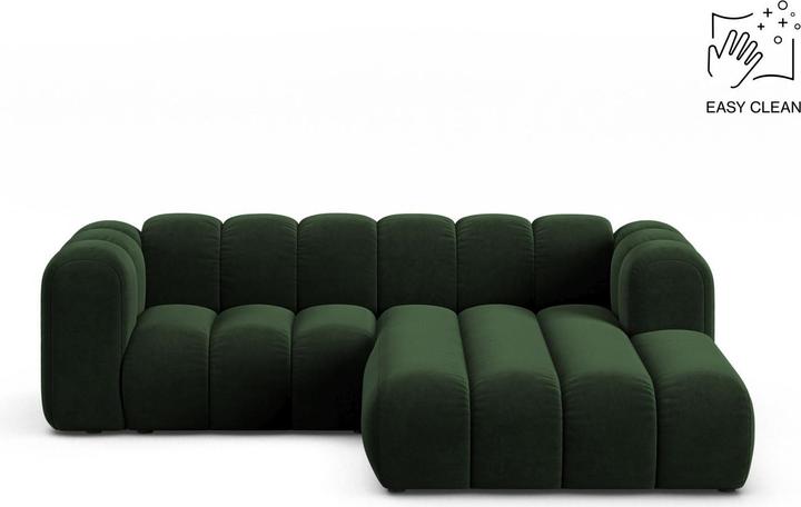 Bottle Green, Schwarz