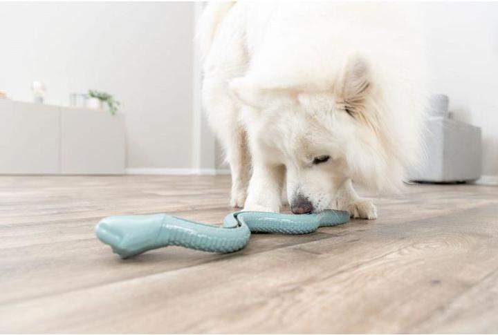 Actual product image Trixie Dog Toy Snack Snake, 27 cm, Green (Dog chew toy)