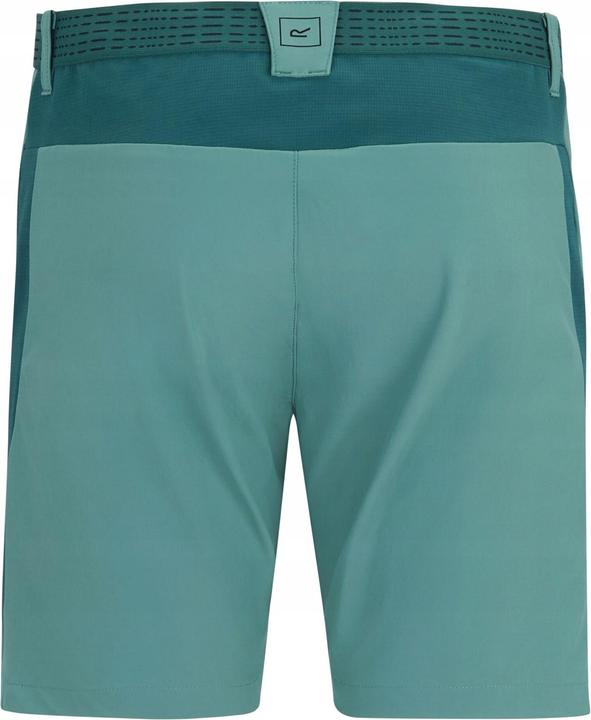 Produktbild Regatta Mountain Shorts (44)