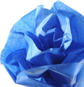 Produktbild Canson Seidenpapier, blau, Maáe: 0,5 x 5,0 m, 20 g/qm (20 g/m², 1x)