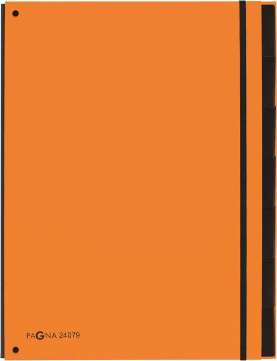 Image du produit Pagna Tendance des dossiers de bureau (A4, 1x)