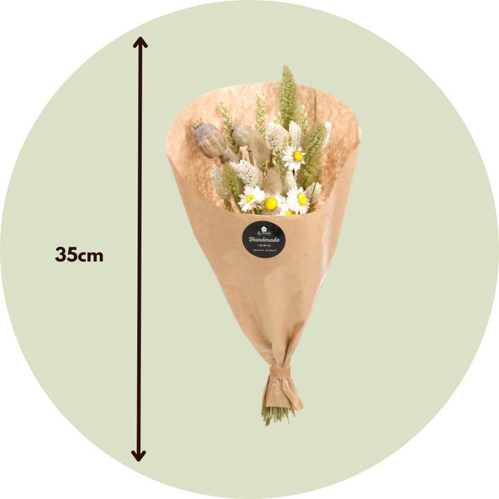 Actual product image Plant in a Box Phalaris, Papaver, tarwe (Triticum), Setarea, Acroclinium, Lagurus Ovatus - (35 cm)