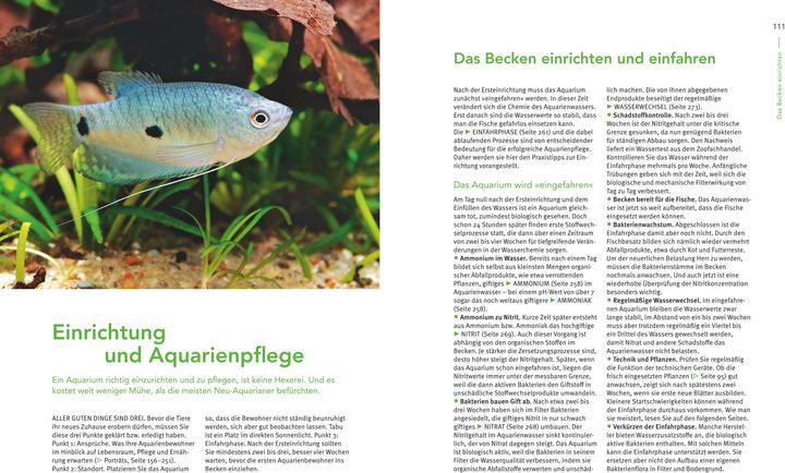 Immagine prodotto Das grosse Praxishandbuch Aquarium (Tedesco, Ulrich Schliewen, 2017)