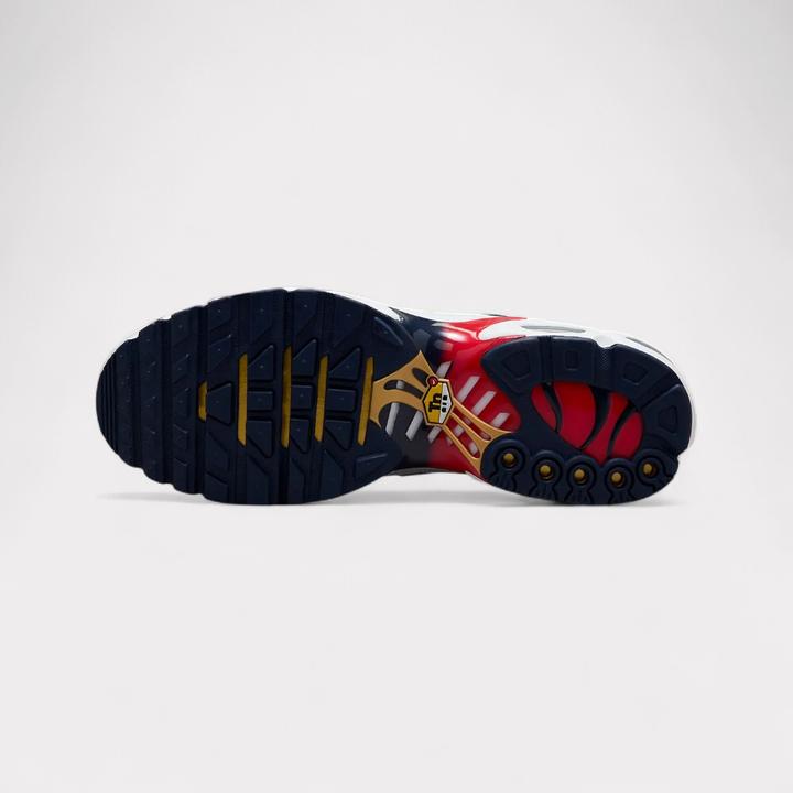 Image du produit Nike Air Max Plus (39)