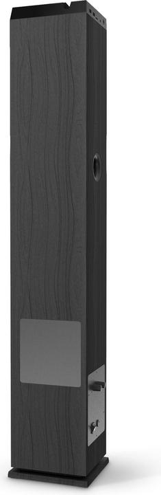 Actual product image Energy Sistem TOWER OF SOUND TOWER 5 G2 BT BLACK 65W/TWS/BLUETOOTH/USB/SD/FM 450800