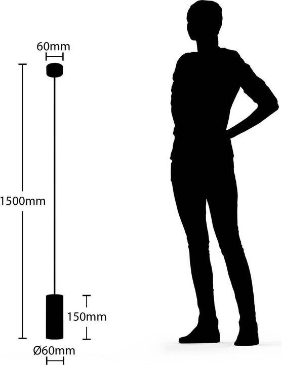 Image du produit Arcchio Ejona Lampe à suspendre H15 Black (GU10)