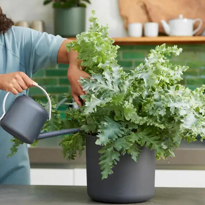 Produktbild Elho B. For Soft (1.70 l)