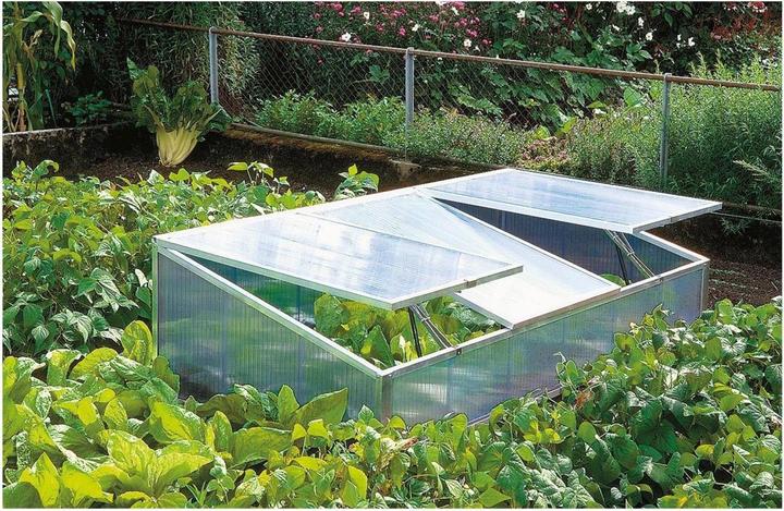 Neogard Pult-Frühbeetkasten Big-Boss