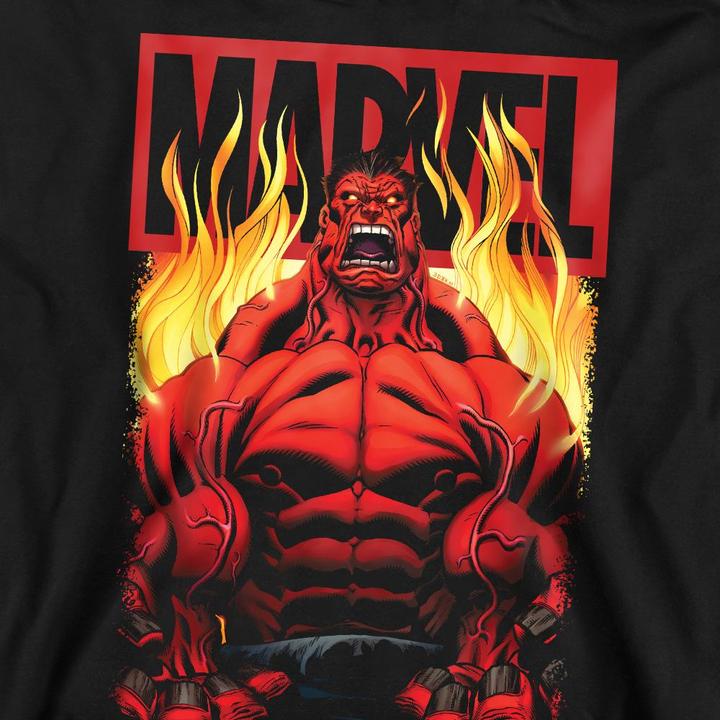 Image du produit - Sweat - Adulte (XL)