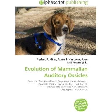 Evolution of Mammalian Auditory Ossicles, Fachbücher von Agnes F. Vandome, Frederic P. Miller, John McBrewster
