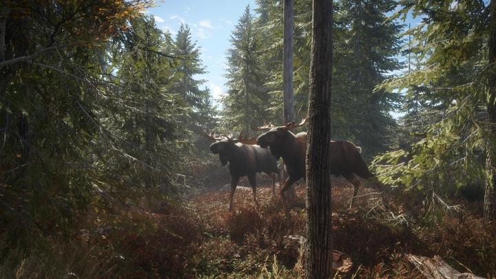 Produktbild THQ PS4 The Hunter Call of the Wild (PS4, FR, EN)