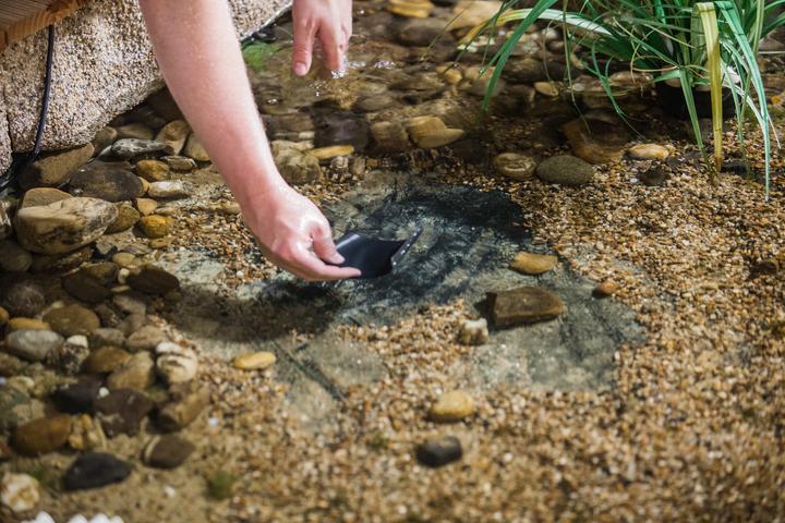 Actual product image Heissner easyFIX