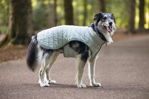 Actual product image Beeztees Bz Dog Coat Bobby Taupe 48 (48, Dog coat)