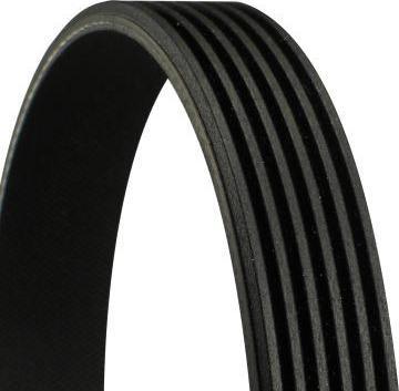 Actual product image Gates Courroie