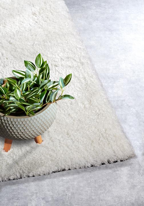 Produktbild Hanse Home Olaf (150 x 80 cm)