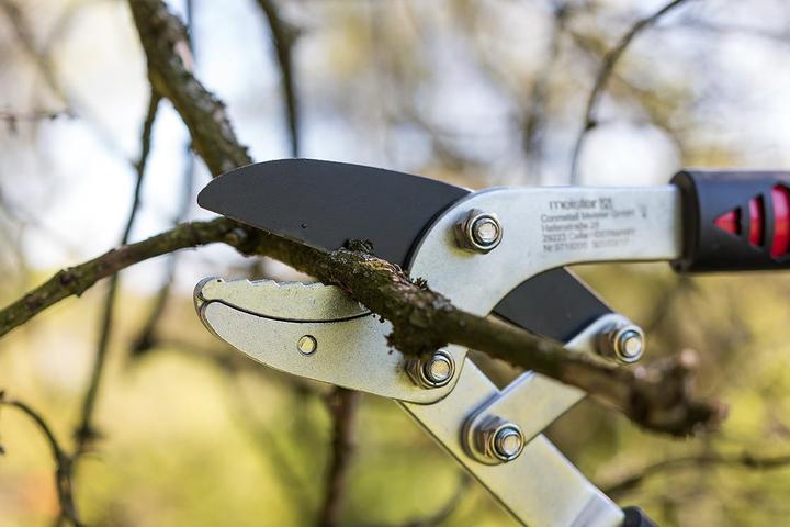 Actual product image Meister Astschere mit Amboss-Klinge