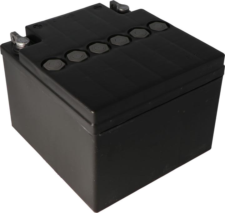 Actual product image Exide Blei Akku passend für Air-Shields TI500 (12 V, 25 Ah)