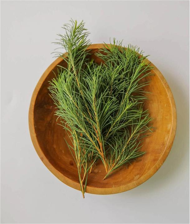 Actual product image Aromatica Tea Tree Balancing Foaming Cleanser (Cleansing Foam, 180 ml)