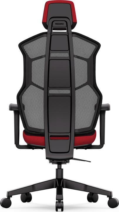 Actual product image RECARO Aer