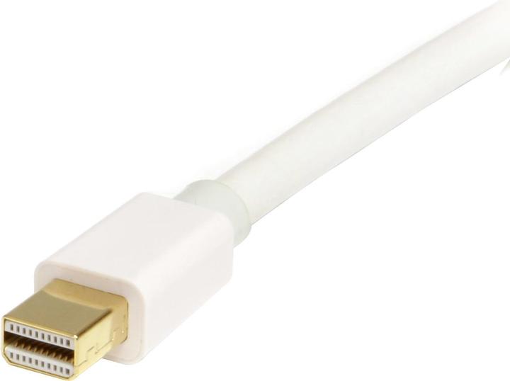 Image du produit StarTech Mini DisplayPort — DisplayPort (2 m, DisplayPort, 1.2)