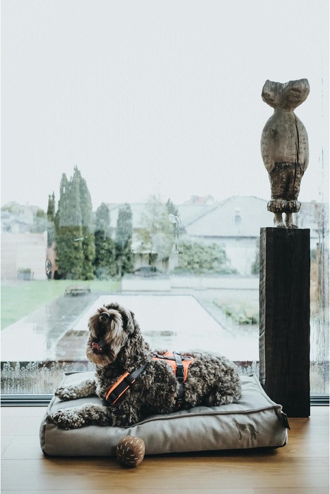 Actual product image Hunter Tableware Maldon (XS, Dog, General)