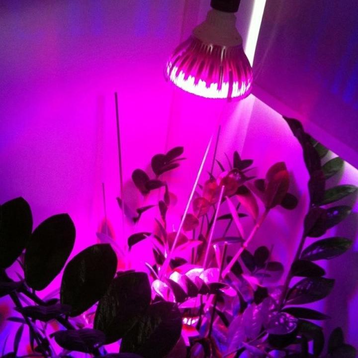 Produktbild Vled Birne (LED, 230 V)