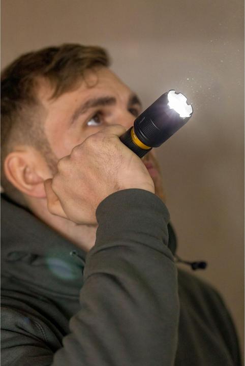 Actual product image Stanley Pocket light (24.50 cm, 350 lm)
