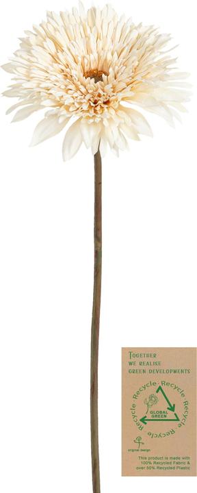 Actual product image Botanic-Haus Gerbera (63 cm)