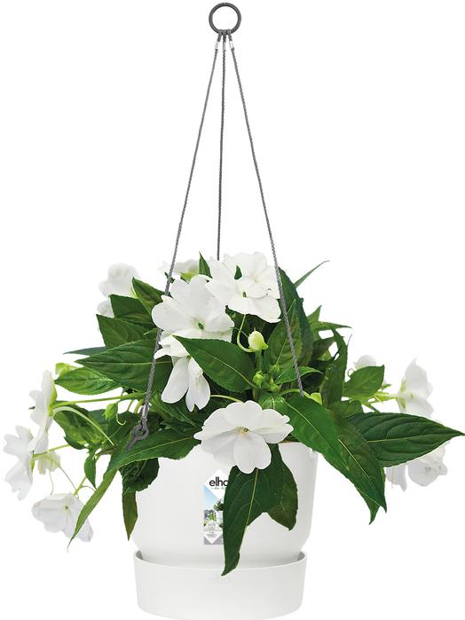 Produktbild Elho Greenville Hängeampel (23.50 cm)