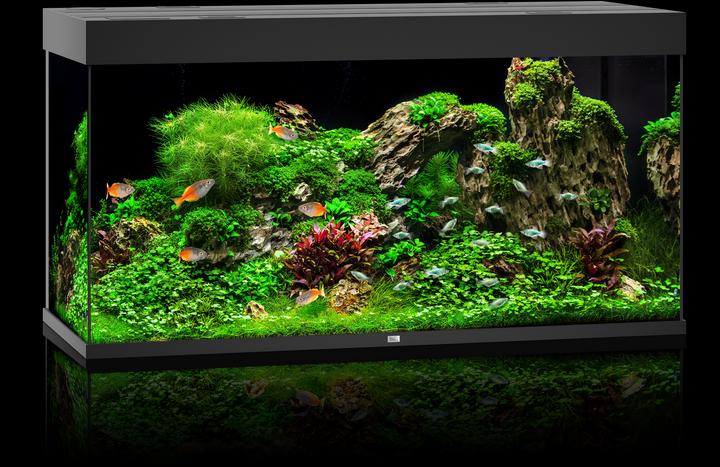 Actual product image Juwel Aquarium Rio (350 l)