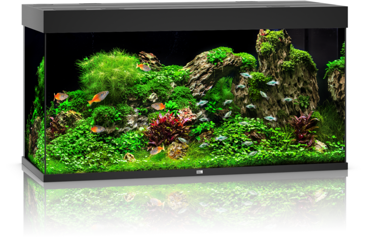 Immagine prodotto Juwel Aquarium Rio (350 l)