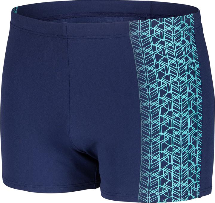 Image du produit Arena M Logo Swim Short (5)