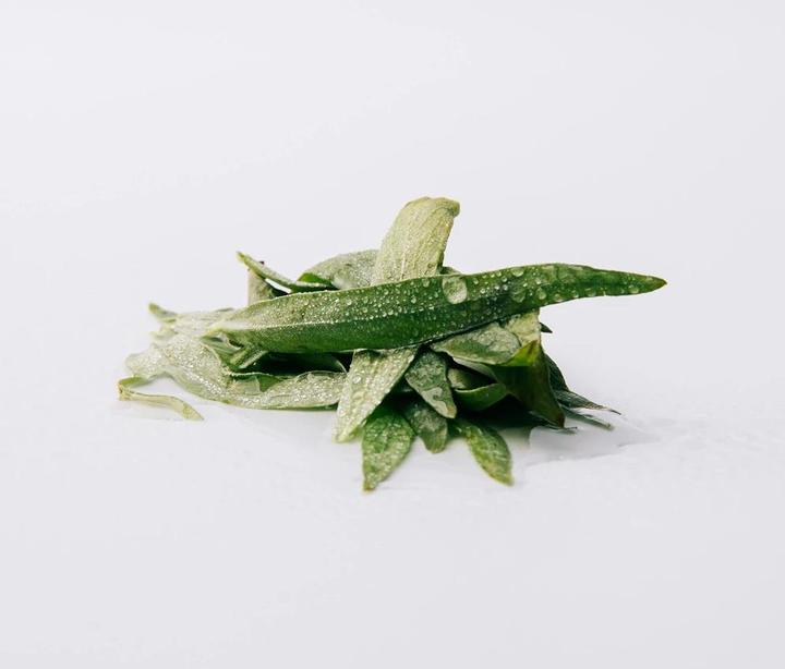 Produktbild Loewe Esencia (Eau de Parfum, 100 ml)