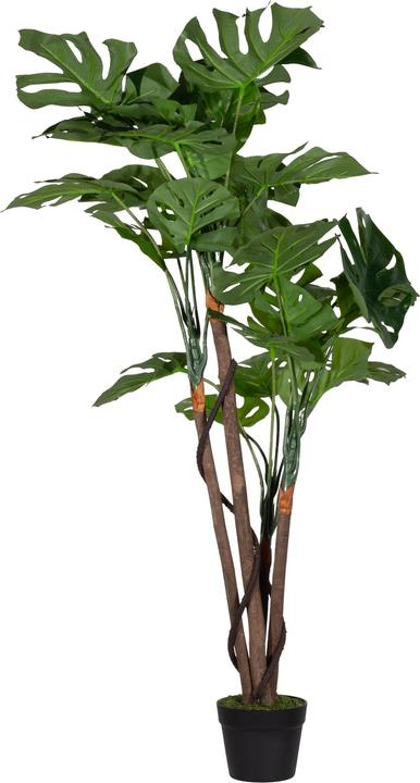 Image du produit Paperflow MONSTERA Kunstpalme 130,0 cm (130 cm)