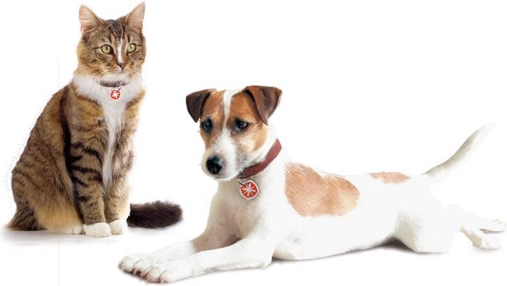 Image du produit Anibio Tic-Clip (Chien, Chat)