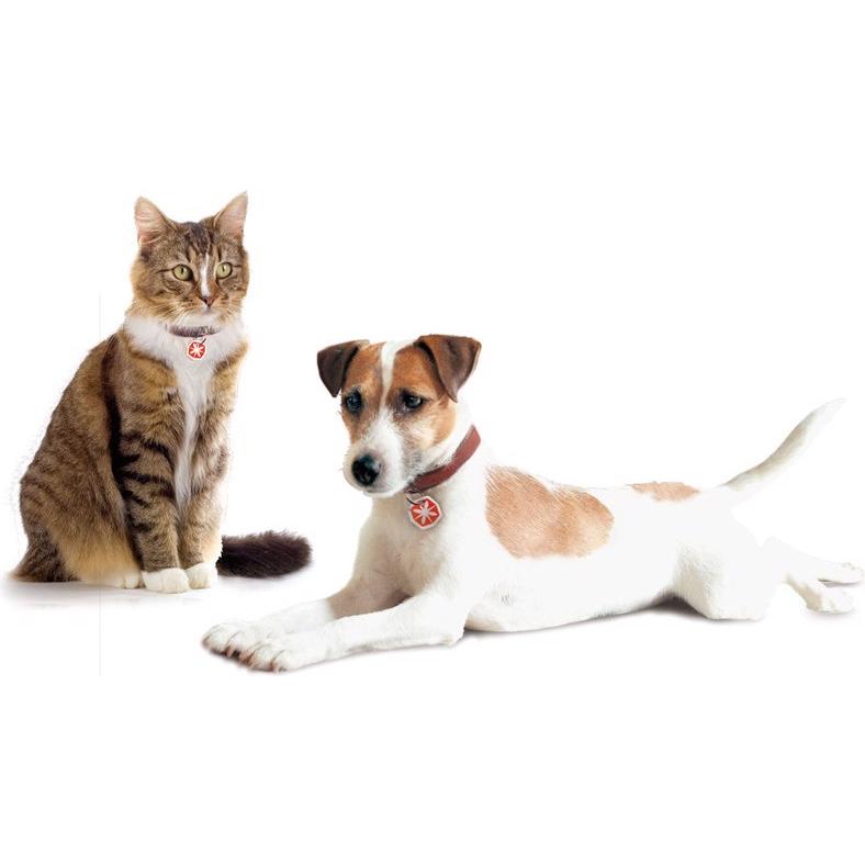 Thumbnail - Anibio Tic-Clip (Hund, Katze), Tierpflegemittel