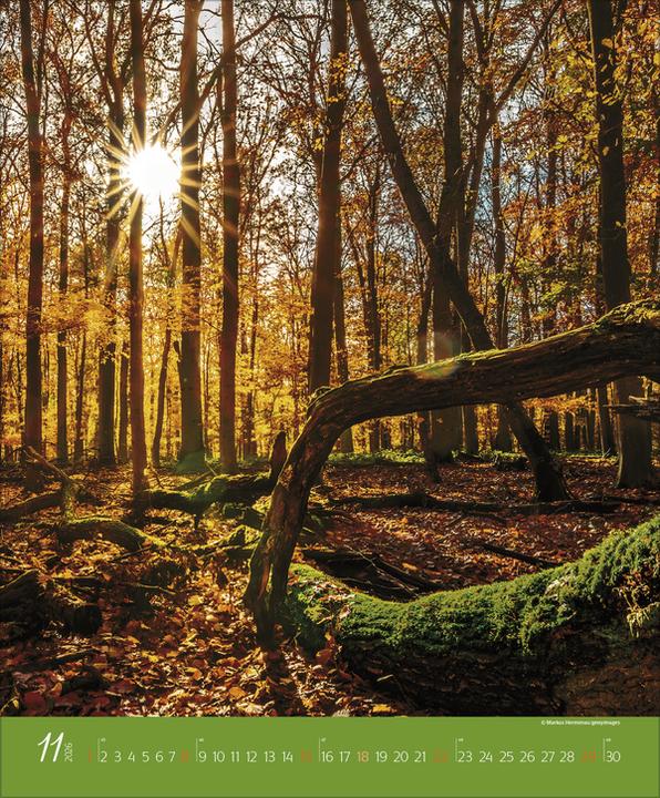 Produktbild AugenblickeimWald2026 (Spezial)