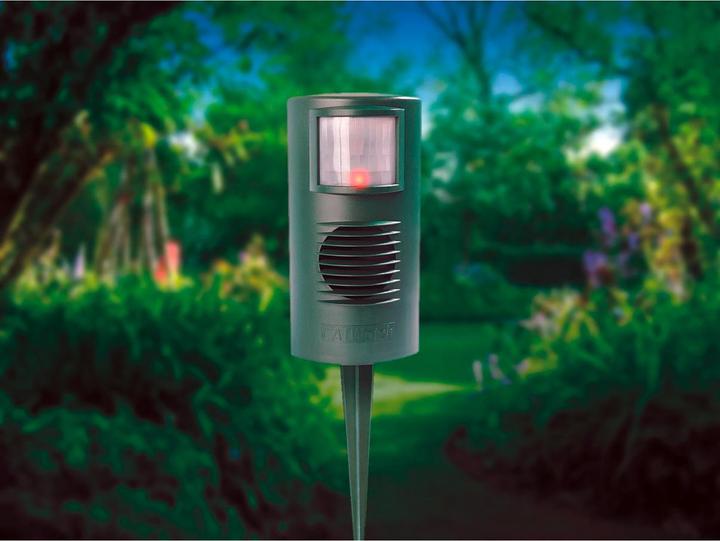 Immagine prodotto Colibri Catwatch