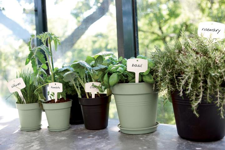 Actual product image Elho Green Basics