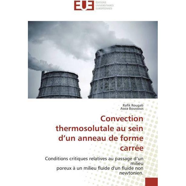 Convection thermosolutale au sein d'un anneau de forme carrée, Fachbücher von Assia Boussous, Rafik Rougab