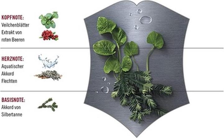 Immagine prodotto Victorinox Acciaio (Eau de toilette, 100 ml)